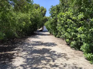 Finca Rustica – Espacio, Exclusividad y Alta Rentabilidad