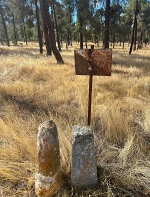 Finca de 10 Has en Avila (El Bohodon)