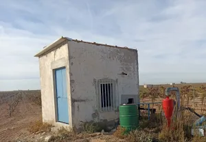 Finca en venta de 9 ha en Tomelloso