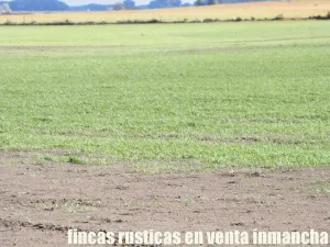 finca en venta 150 has. labor secano almendro