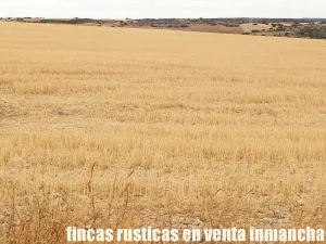 finca en venta 335 has. caza menor Cuenca