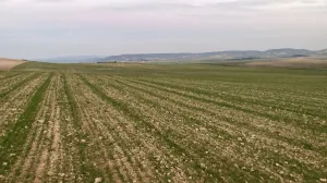 Venta finca agrícola y cinegética de 345 Has