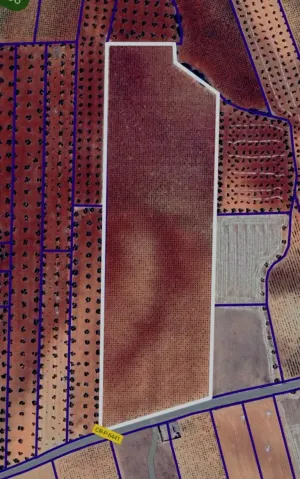 Finca con muchas posibilidades