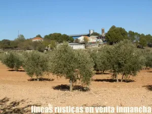 finca en venta 30 has. recreo en Madrid