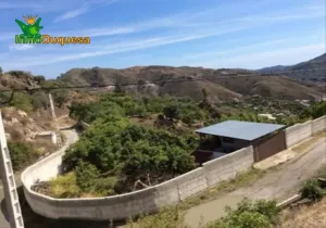 Finca rústica de AGUACATES con CONTRUCCIÓN de 37 m² en Los Guájares (Faragüit).