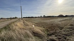 Se vende finca rústica 981 pol.2, VILLARALBO