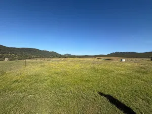 FINCA GANADERA Y CINEGÉTICA EN VENTA