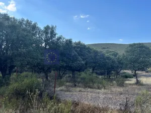 FINCA CINEGÉTICA VENTA ZONA DE LOS IBORES