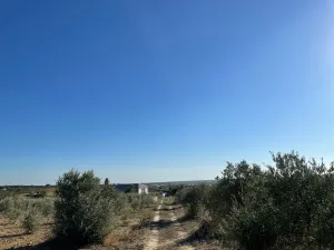 Finca rural Bollullos Par del Condado