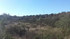 Finca en San Bartolome de la Torre