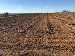 Terreno La Dehesa Nueva Almonte