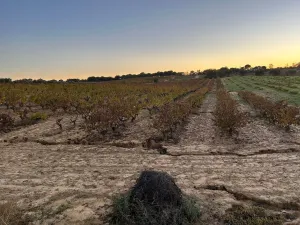Finca con pozo Bollullos Par del Condado