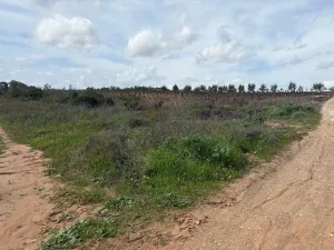 Finca en Huelva, Bollullos Par del Condado