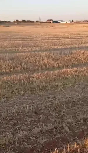 FINCA RUSTICA EN ALMAGRO, CIUDAD REAL, ESPAÑA