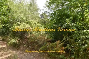 Finca de 79 hectáreas en Susqueda