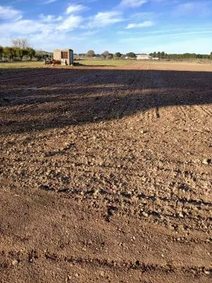 Tierra de regadío con pozo propio.