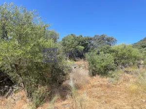 Finca 50 ha Alcuescar