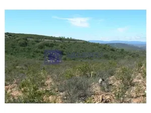 Finca Ganadera 500 ha Aliseda