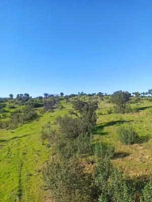 Finca Ganadera 500 ha Zona Alcántara