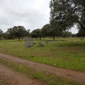 Finca de 220 ha zona Guadalupe