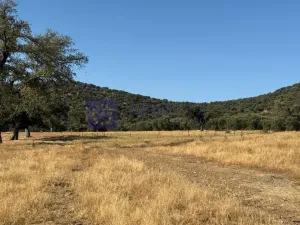 Finca 150 ha Navalmoral de la Mata