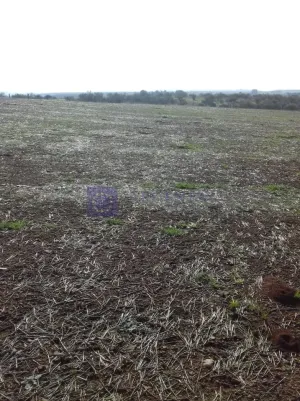 Finca de 500 ha en Mérida