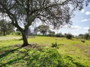 Finca Ganadera Membrío