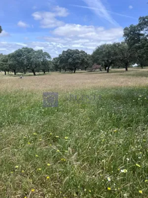 Finca en venta 80 ha zona Trujillo