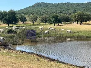 Venta Finca Ganadera, Cinegética y corcho