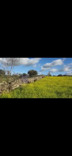 Finca Ganadera 10 ha en Valdesalor