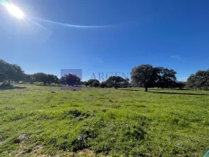 Se vende finca de 340 ha en Montánchez