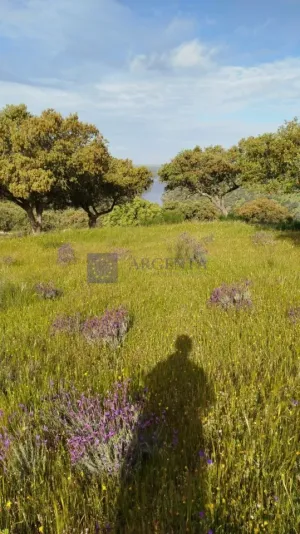 Finca Ganadera 120 ha en Cáceres