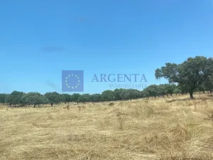 Finca Ganadera de 170 ha zona Plasencia
