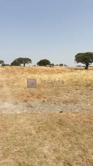 Finca Ganadera 600 ha Alcuéscar