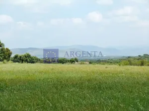 Finca Ganadera 250 ha en Trujillo