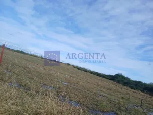 Se Vende Finca Regadío en Coria