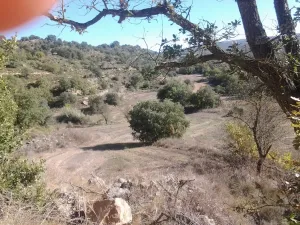 Terreny rústic de 1,09 ha a Sanaüja (Lleida)