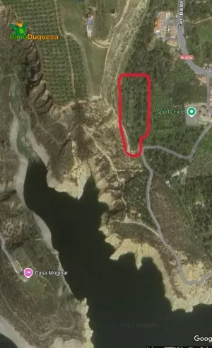 FINCA RÚSTICA PLENA PRODUCCIÓN EN VALLE DE LECRÍN