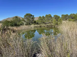 Enorme Finca de caza con vivienda y extras en