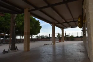 Finca en Torre - Pacheco