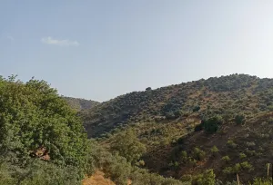 Finca Rústica en Málaga