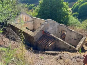 Finca en Moya - Las Palmas