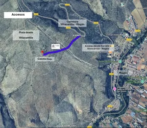 Olivar en Regadío en Villacarrillo 21,8 ha