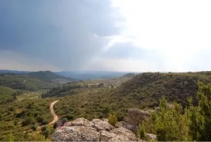 Finca rústica 340,36