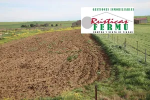 Finca de cultivo en Hinojosa del Duque.