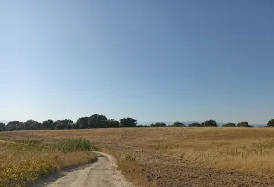 Finca Rústica en Santa Cruz de Retamar