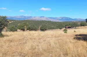 Finca Rústica en Colmenar Viejo
