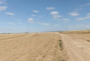 Finca Rústica en Albacete
