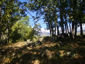 FINCA RÚSTICA  EN LA ZONA CÁLIDA DE LA SIERRA