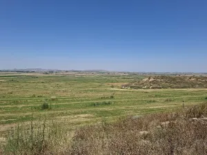 explotacion agricola en Monegros